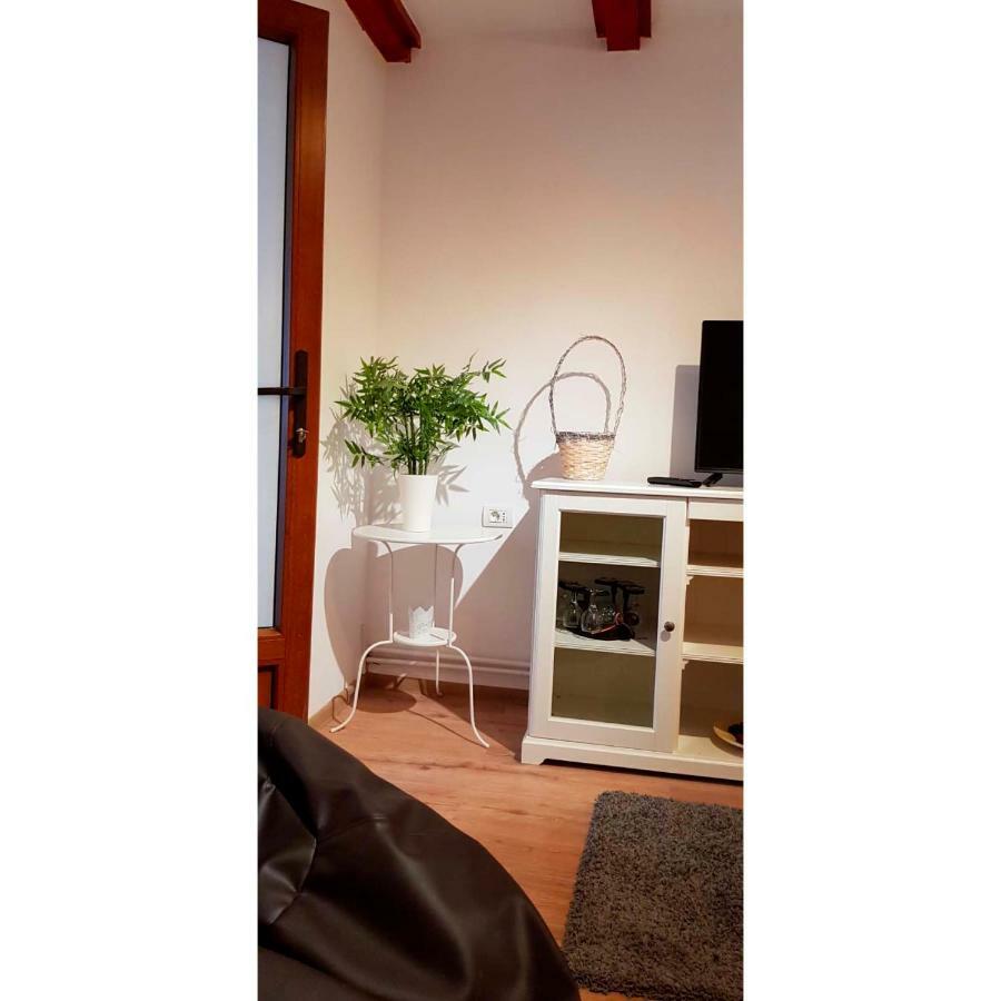 סינאיה Vaso Apartament מראה חיצוני תמונה