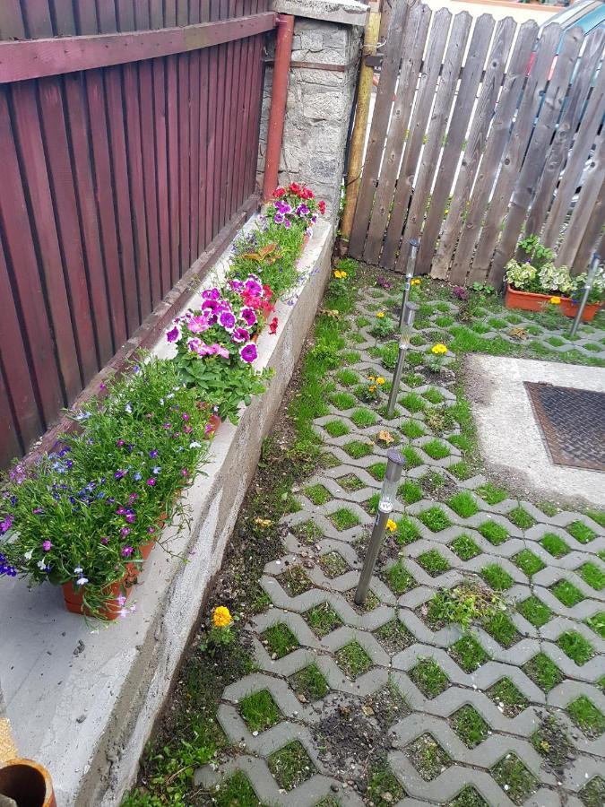 סינאיה Vaso Apartament מראה חיצוני תמונה